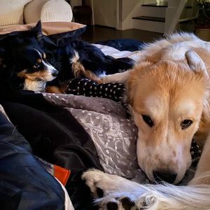 Meet your Posher, Nadine